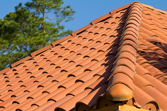 Roofing Color