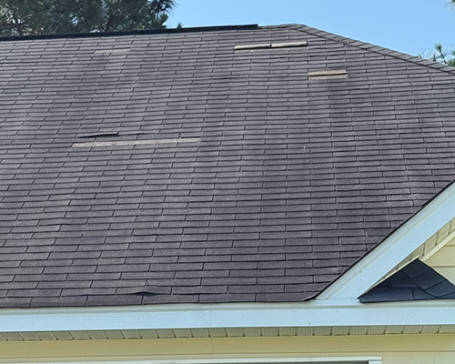 Damaged Shingles