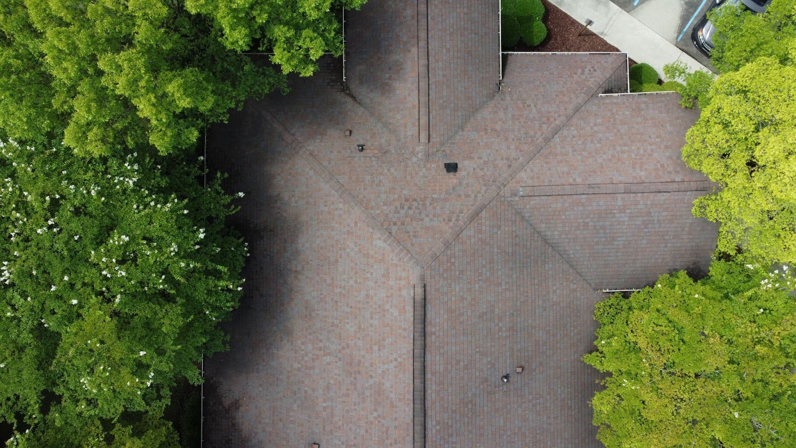 Shingle Roof Replacement